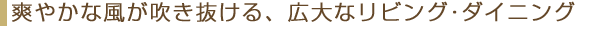 リビング