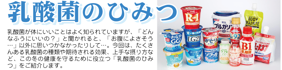 乳酸菌のひみつ