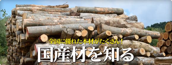 全国に優れた木材がたくさん！国産材を知る