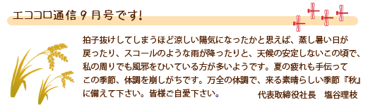 エココロ通信2008年9月号