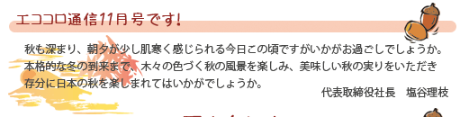 エココロ通信2008年11月号