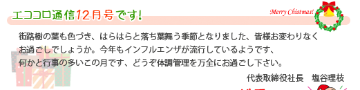 エココロ通信2008年12月号