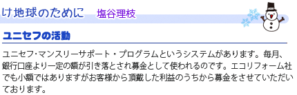 エココロ通信2009年1月号：ユニセフの活動