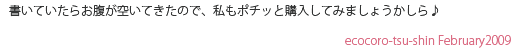 ポテトチップチョコレート