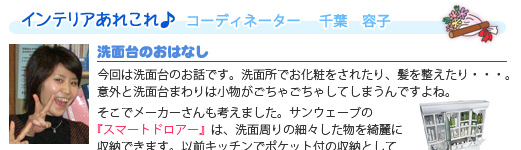 エココロ通信2009年3月号：洗面台のおはなし