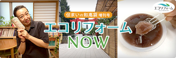 住まいの知恵袋 増刊号　エコリフォームNOW