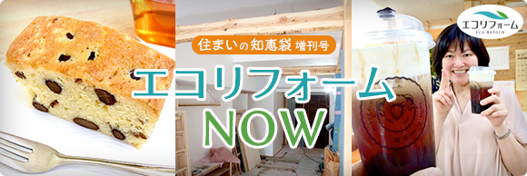 住まいの知恵袋 増刊号　エコリフォームNOW