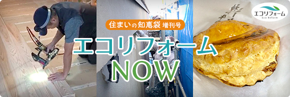 住まいの知恵袋 増刊号　エコリフォームNOW