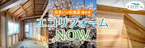 春の陽気に桜も満開。工事もどんどん進んでいます。